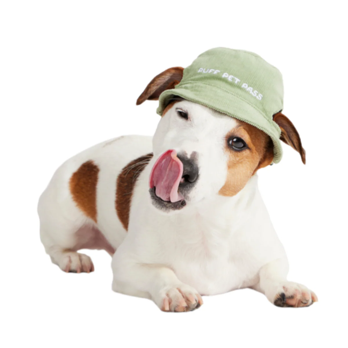 Blunt Hound Bucket Dog Hat - Image 2