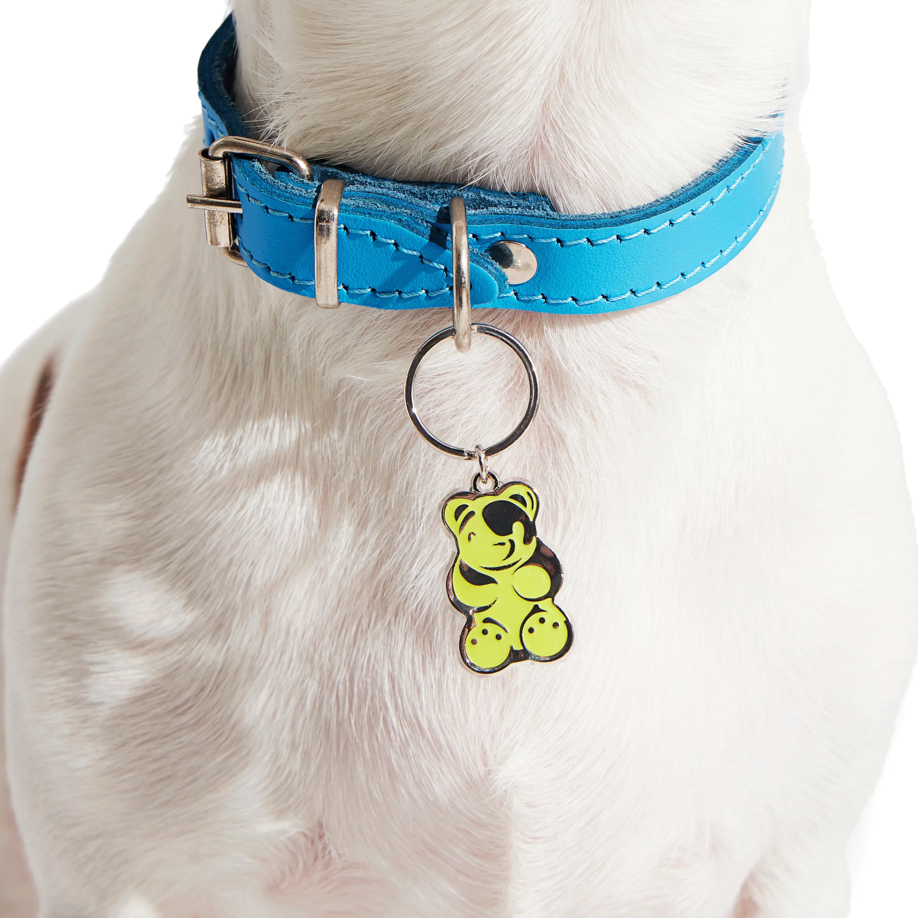 420 Dog Charm Set