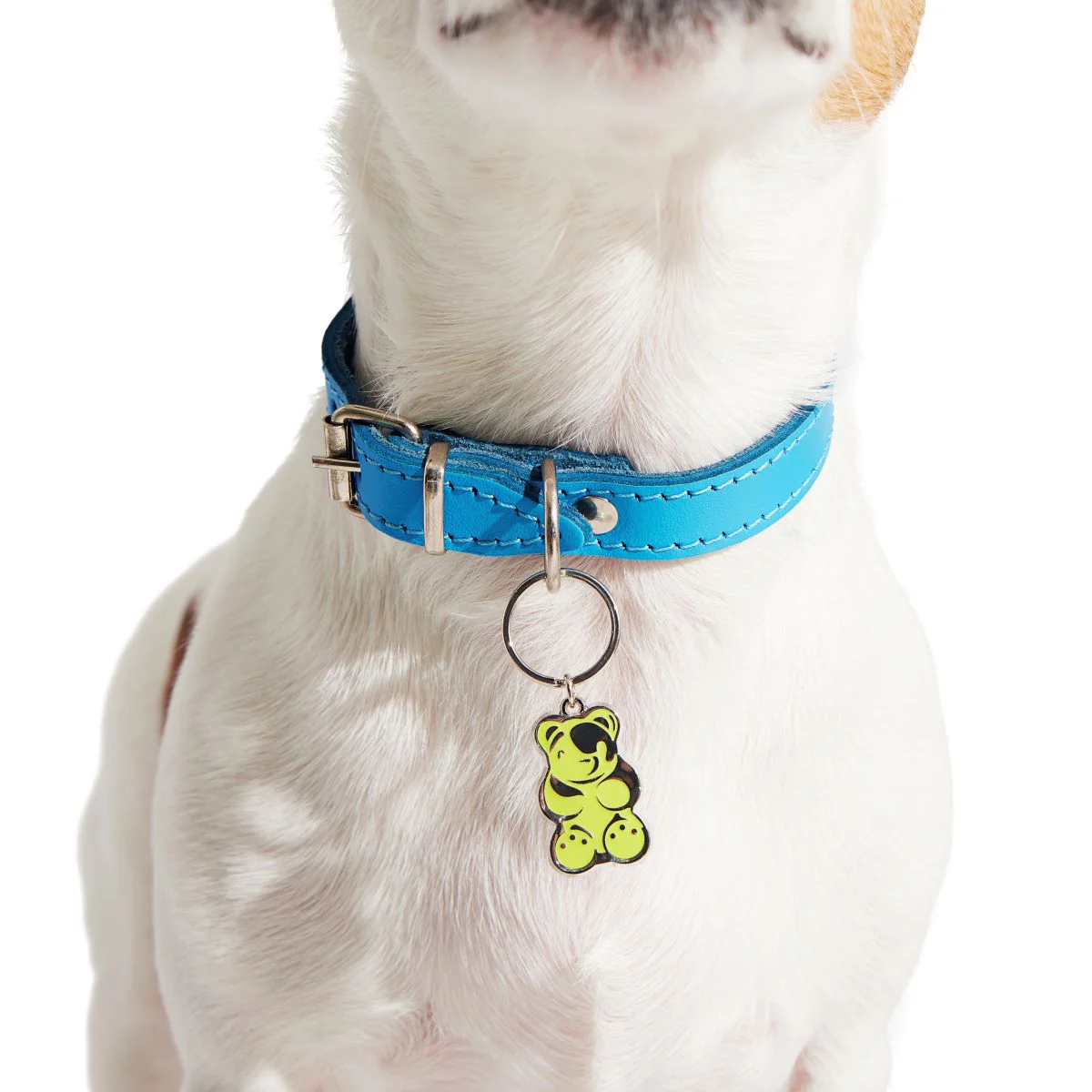 420 Dog Charm Set - Image 4
