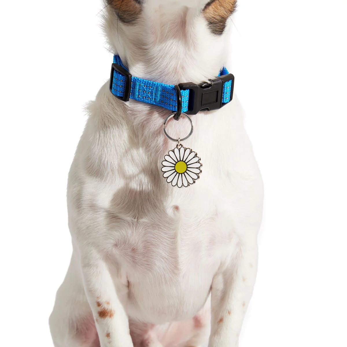 420 Dog Charm Set - Image 5