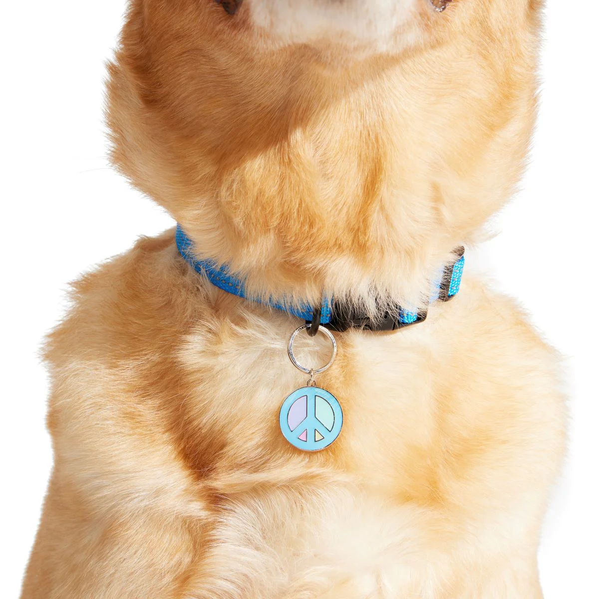 420 Dog Charm Set - Image 6
