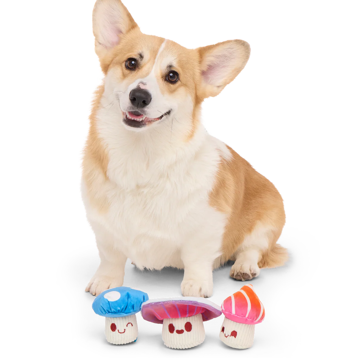 Alice's Magic Mushrooms Plush Multi-Part + Fetch Dog Toy - Image 2