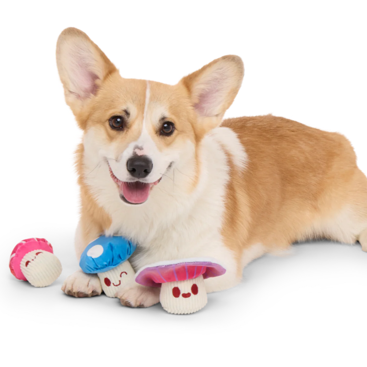 Alice's Magic Mushrooms Plush Multi-Part + Fetch Dog Toy - Image 3