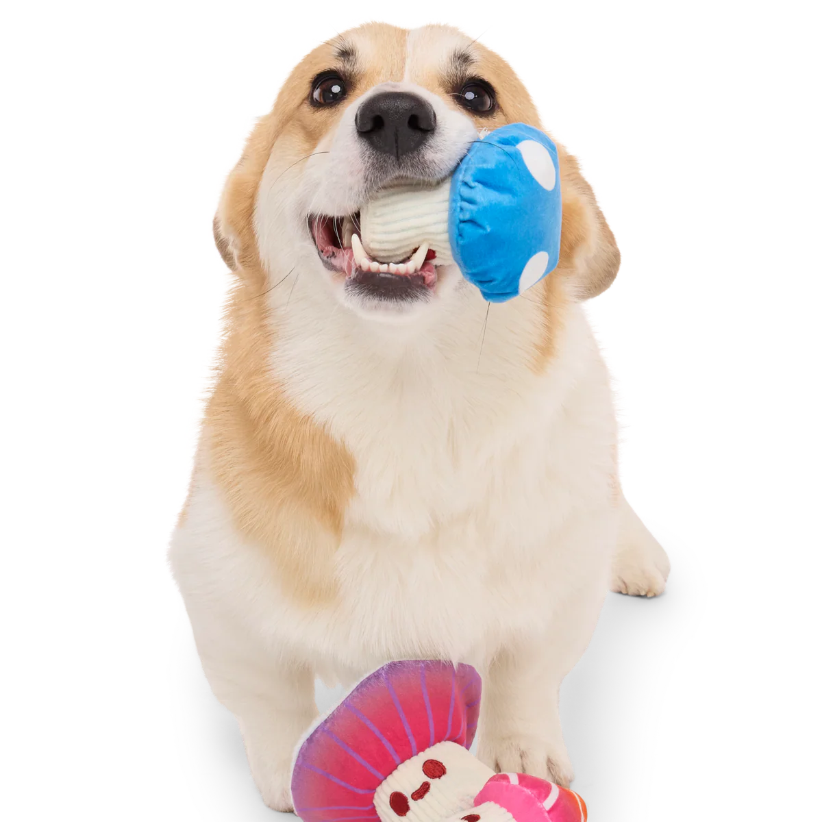 Alice's Magic Mushrooms Plush Multi-Part + Fetch Dog Toy - Image 4