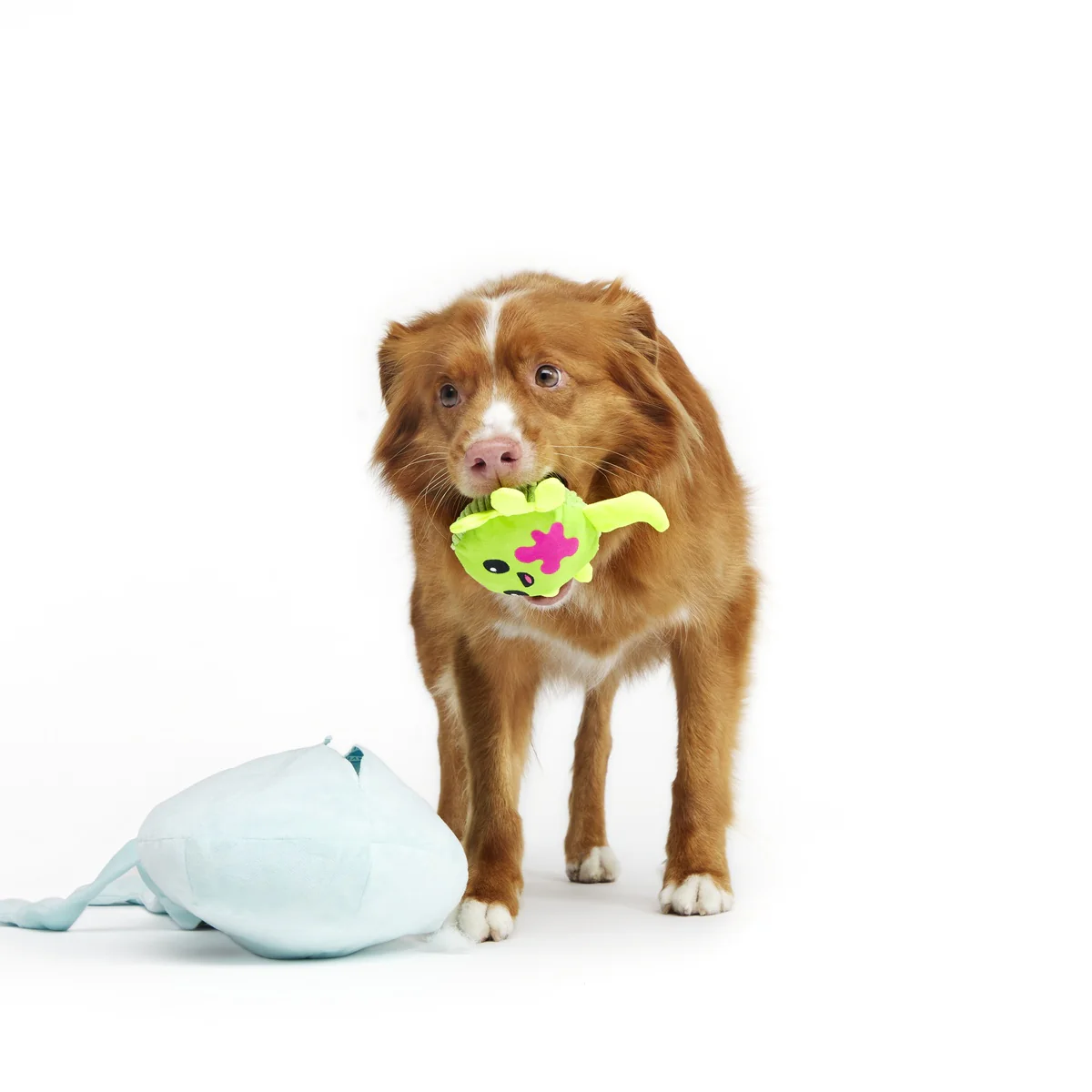 Alien Gnawtopsy Plush 2-in-1 Rip and Reveal + Tug + Enrichment + Multi-Part + Extra-Large Dog Toy - Image 3