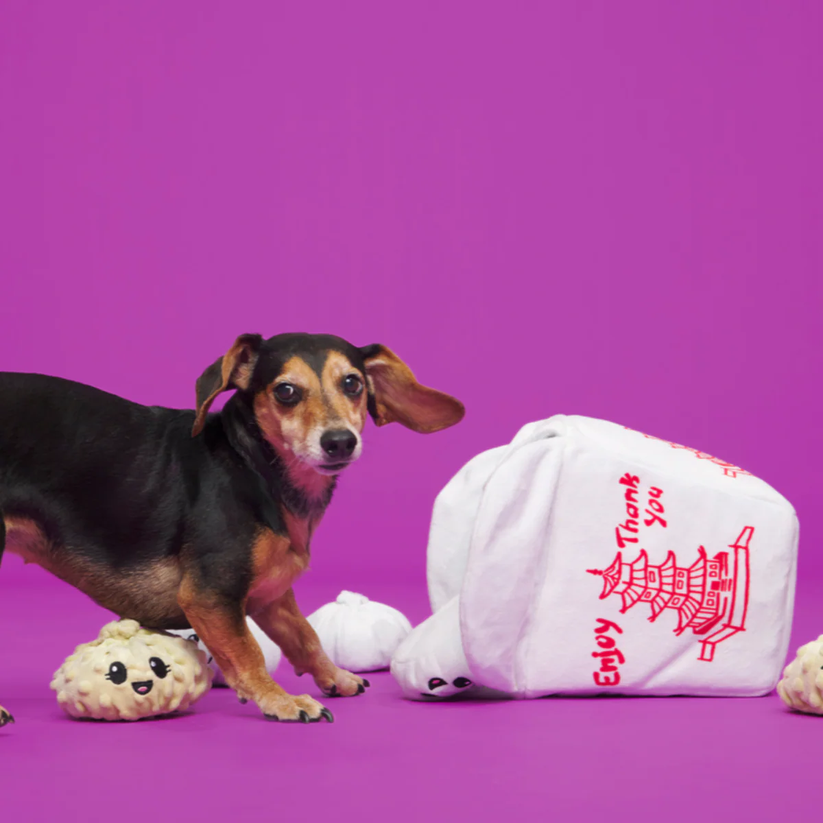 Andi's Famous Plush Dumplings Plush Enrichment + Multi-Part + Extra-Large Dog Toy - Image 9