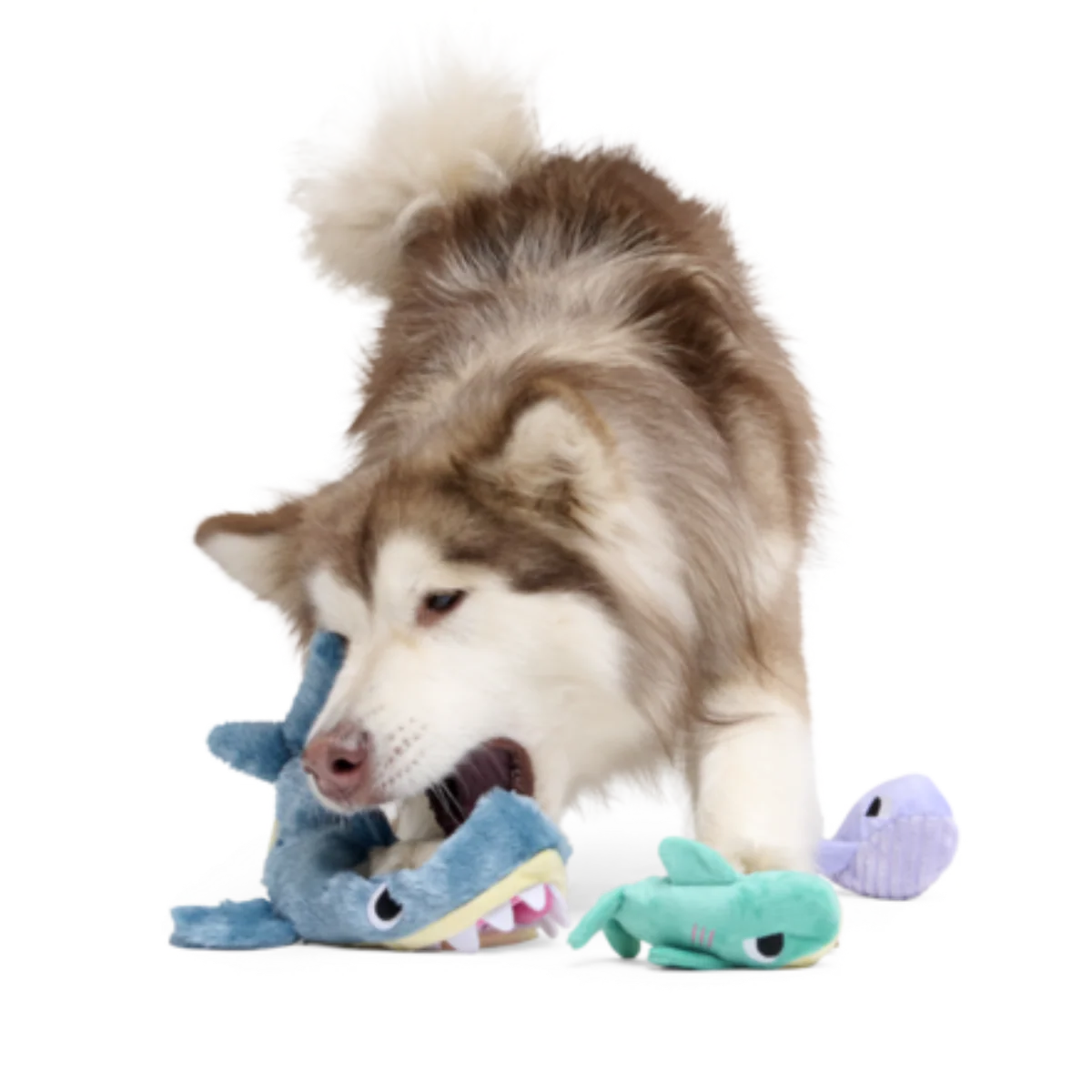 Arctic Chums Plush Extra-Large + Multi-Part + Enrichment Dog Toy - Image 4
