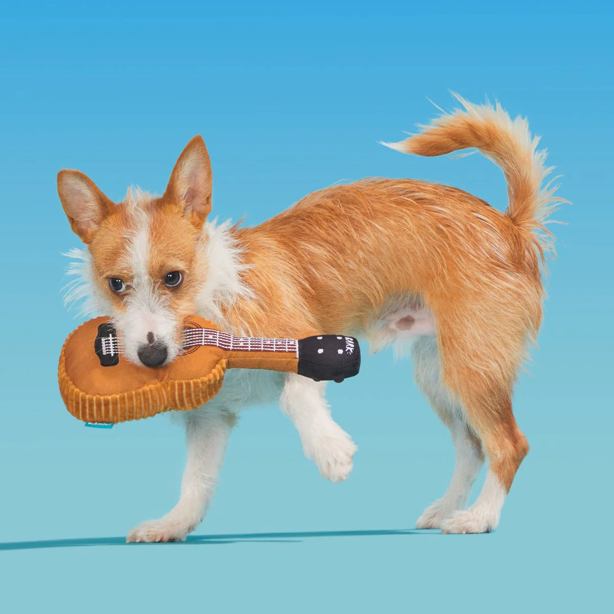 Awoo-stic Guitar - Image 5