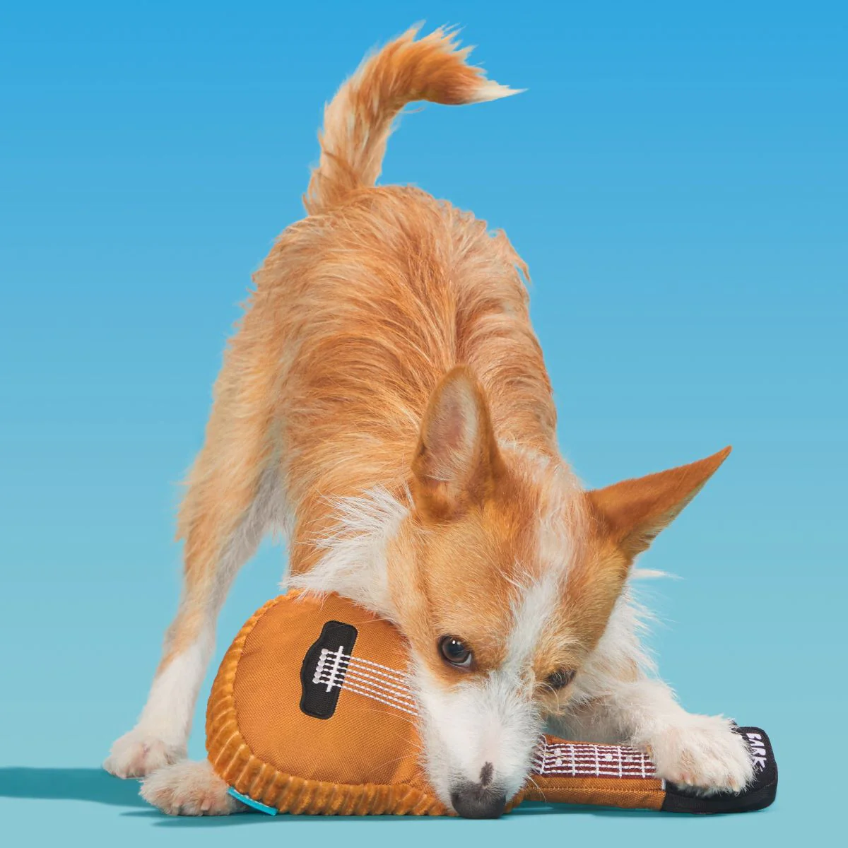 Awoo-stic Guitar - Image 6