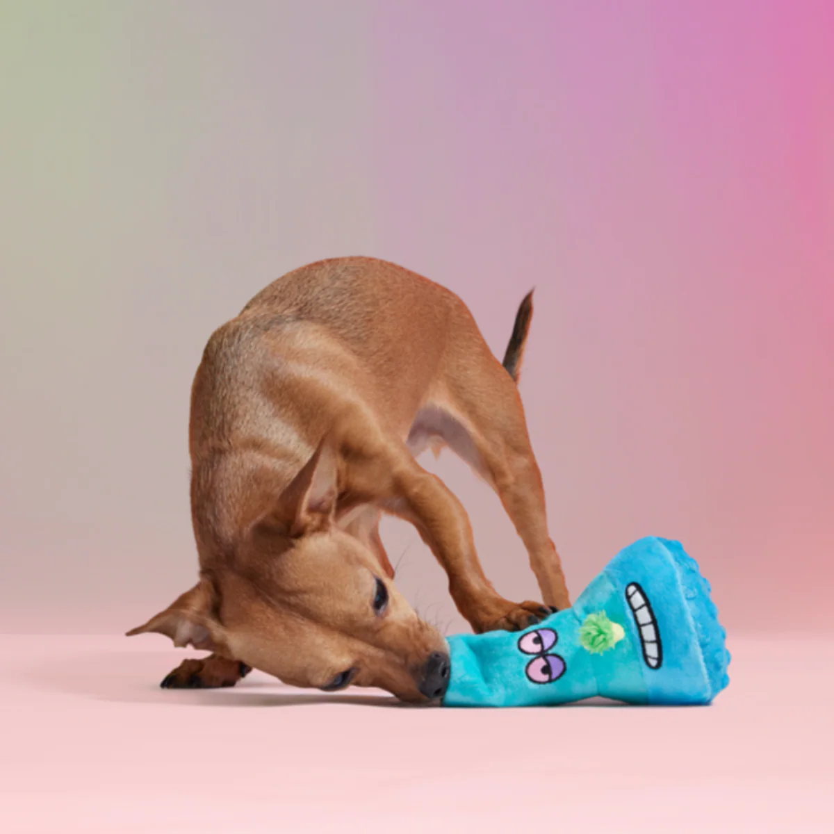 B-O-N-G-O Plush Enrichment Dog Toy - Image 3
