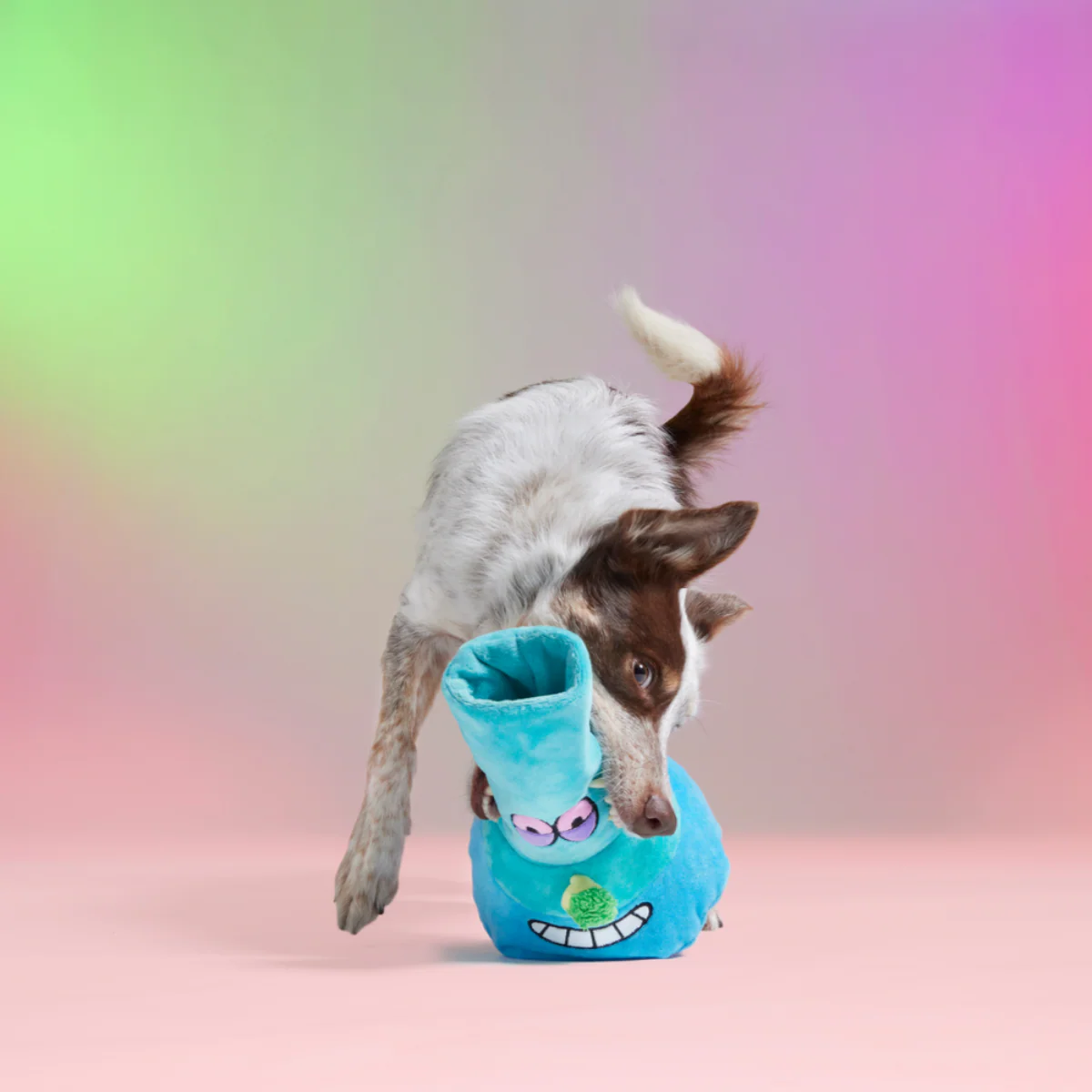 B-O-N-G-O Plush Enrichment Dog Toy - Image 4