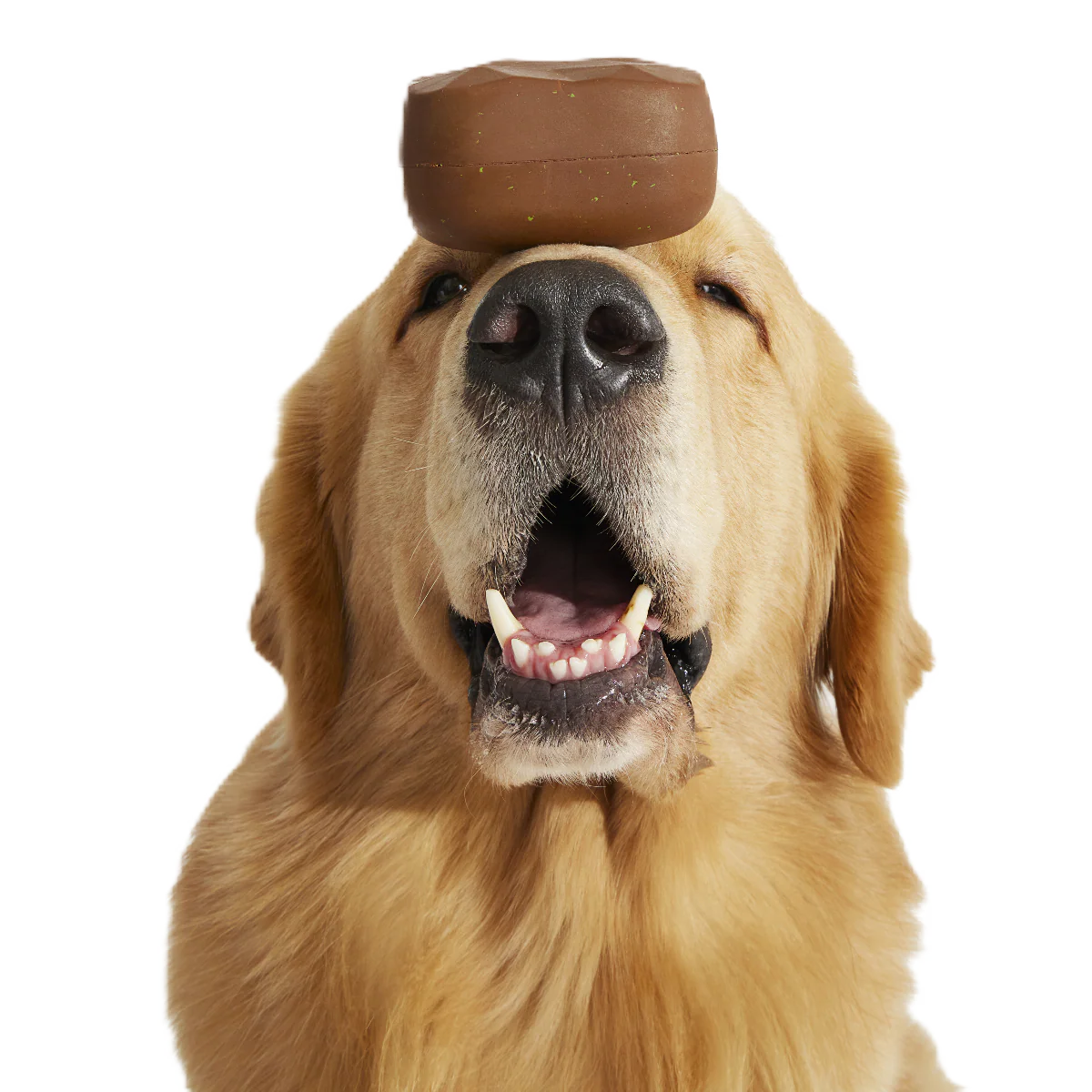 Baaaked Brownie Super Chewer Durable Fetch Dog Toy - Image 2