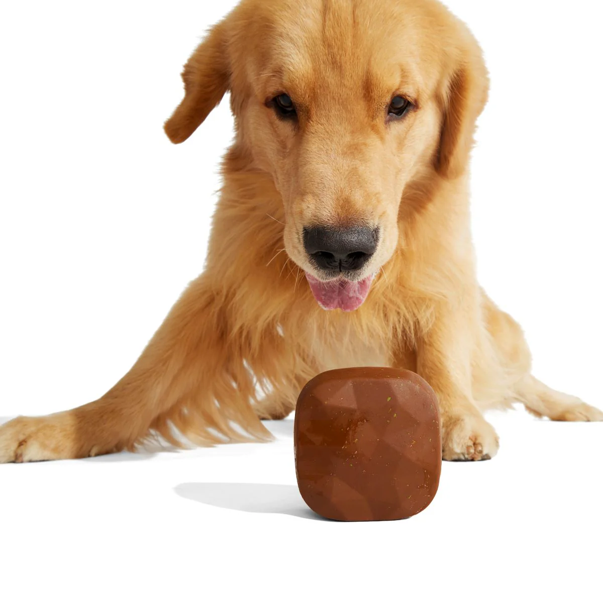 Baaaked Brownie Super Chewer Durable Fetch Dog Toy - Image 3