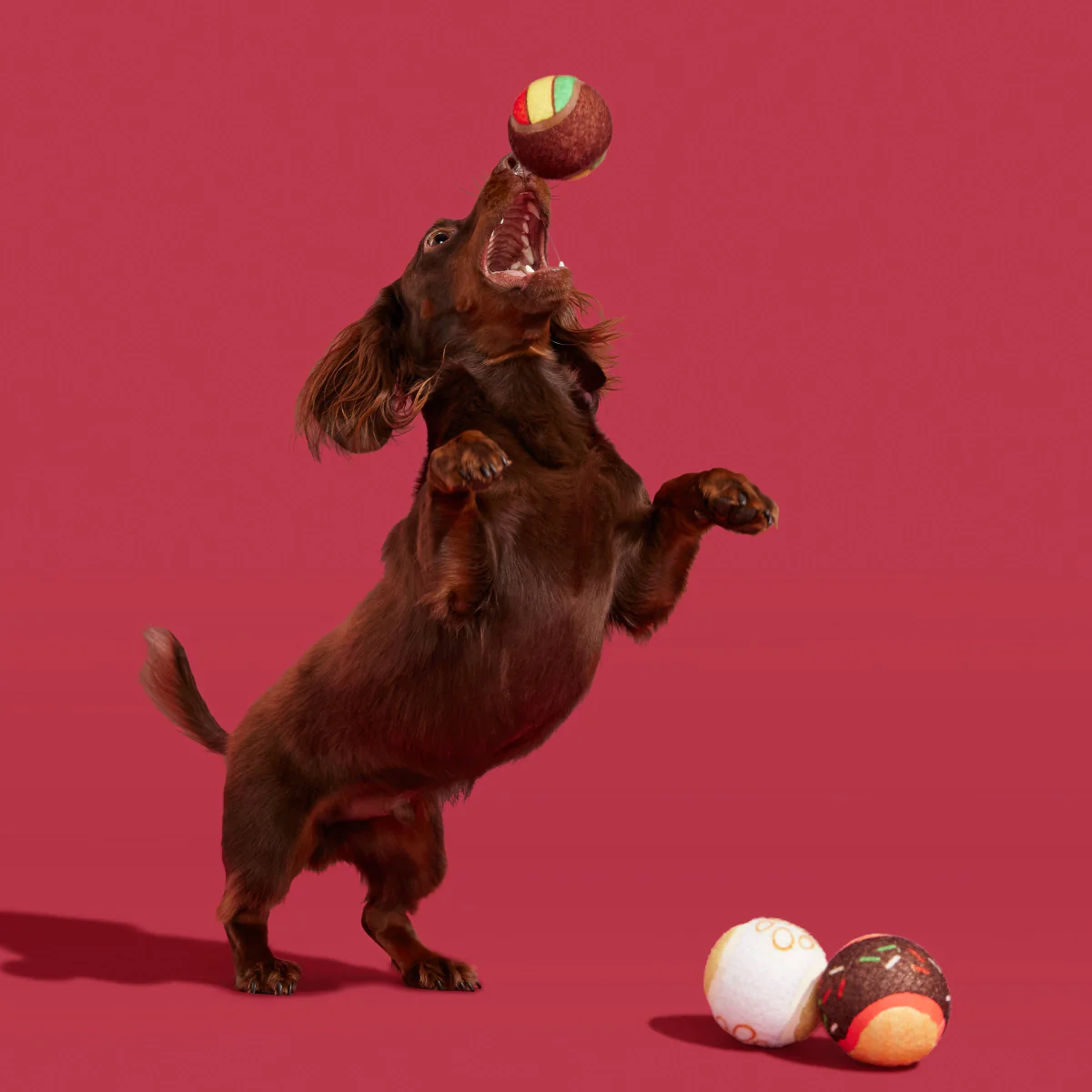 Ballscoti Cookies - Image 5