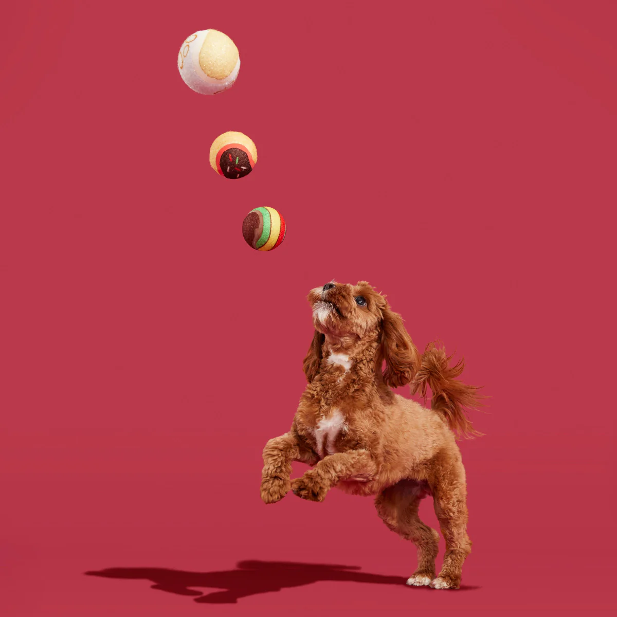 Ballscoti Cookies - Image 6