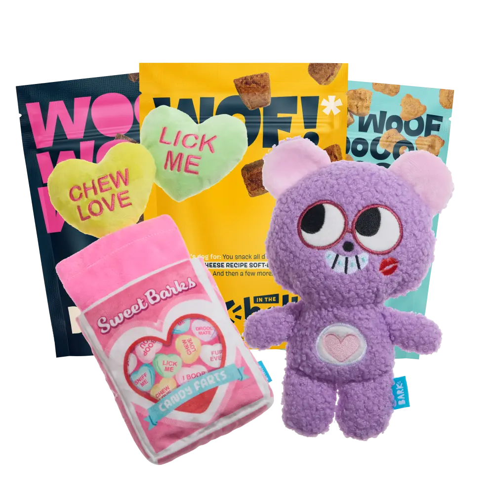 BARK 12 Month Subscription - FREE Extra Treats