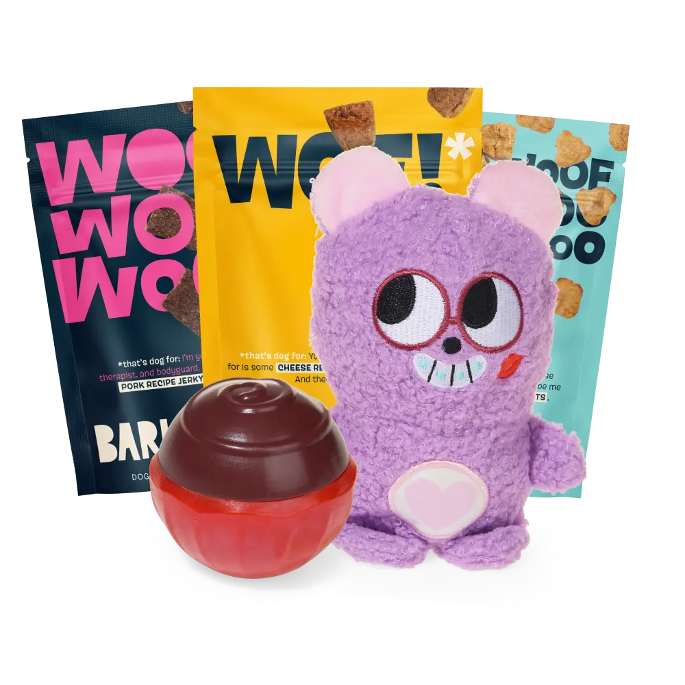 BARK 12 Month Subscription - FREE Extra Treats - Image 2