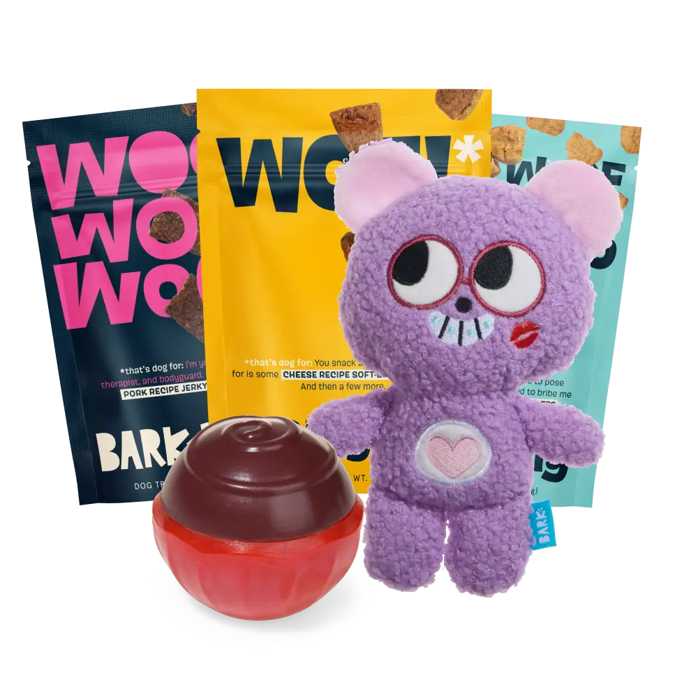 BARK 12 Month Subscription - FREE Extra Treats - Image 3