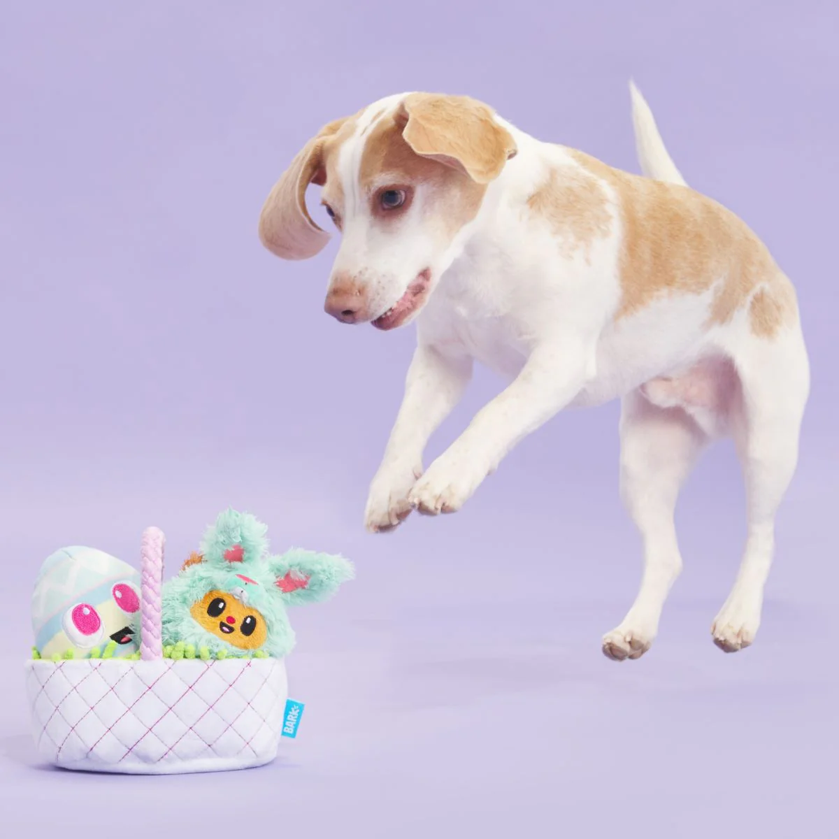 BARK Easter Bundle Plush Tug + Enrichment + Multi-Part Dog Toy - Image 2