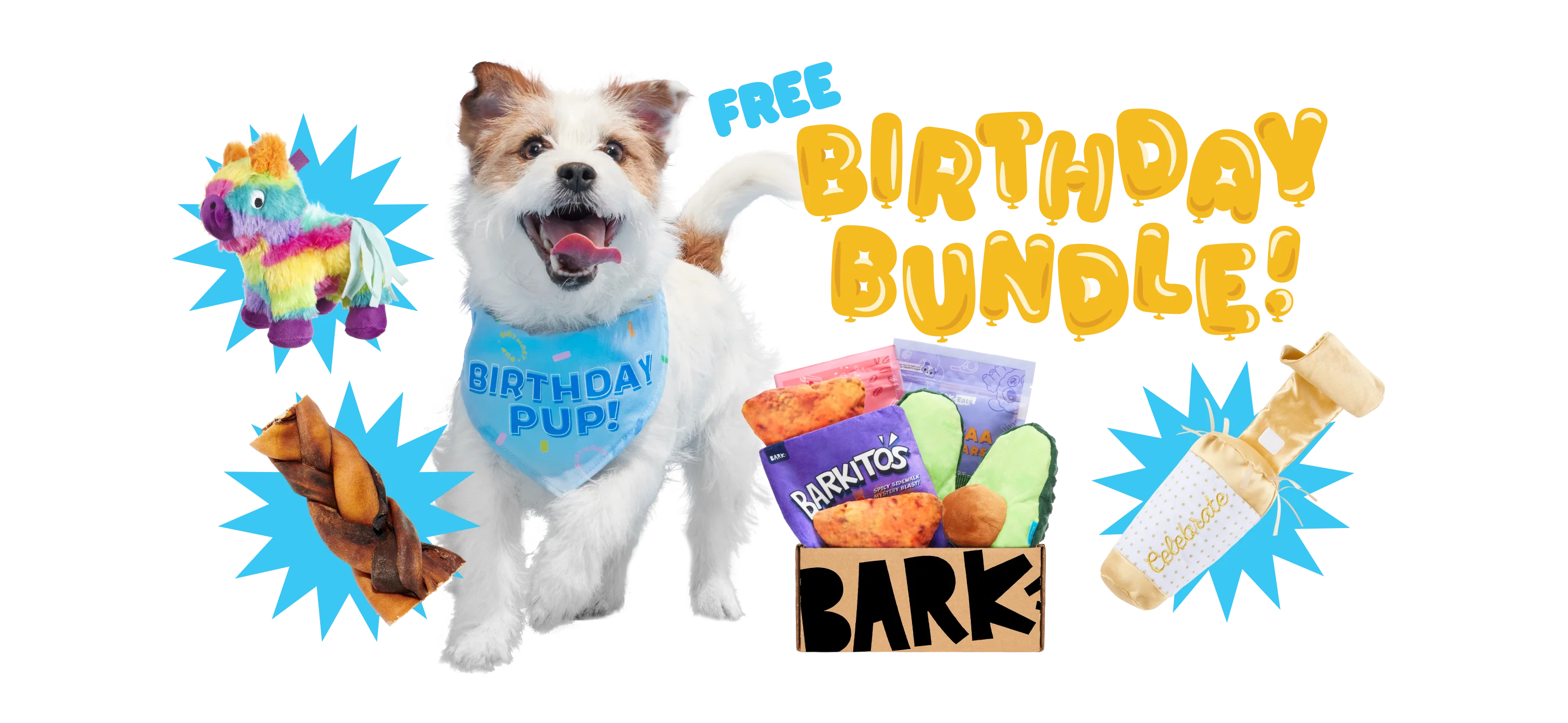 BarkBox Birthday Bundle