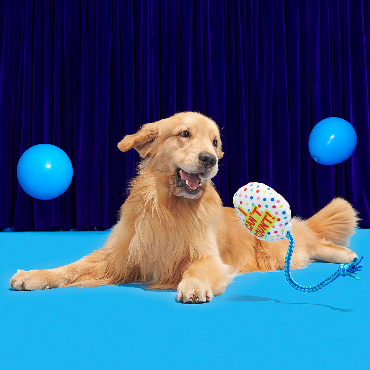 Birthday BarkBox (Toy-Only) - One Month Gift Box - Image 16