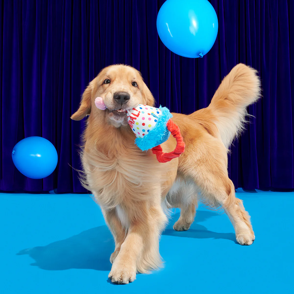 Birthday BarkBox (Toy-Only) - One Month Gift Box - Image 21