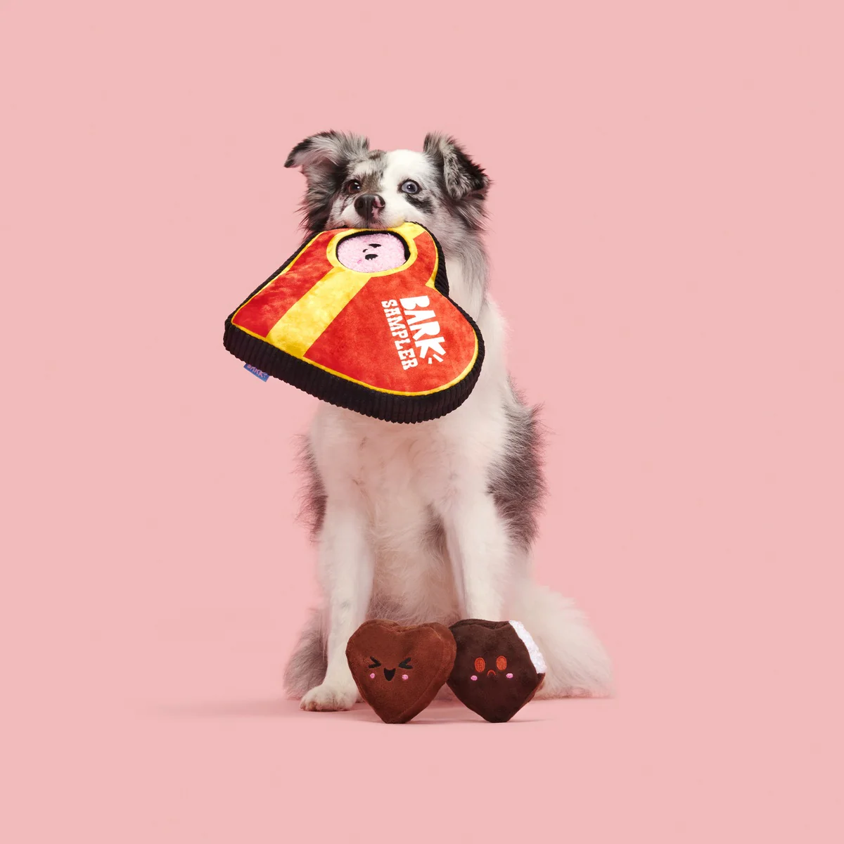 Barks of Chocolates Plush Multi-Part + Enrichment Dog Toy - Image 2