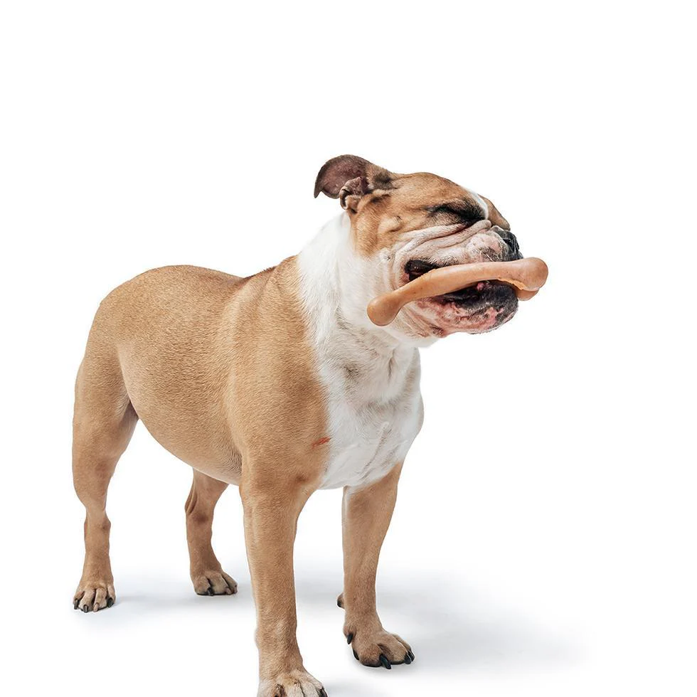 Bacon Benebone Durable Super Chewer Dog Toy - Image 2