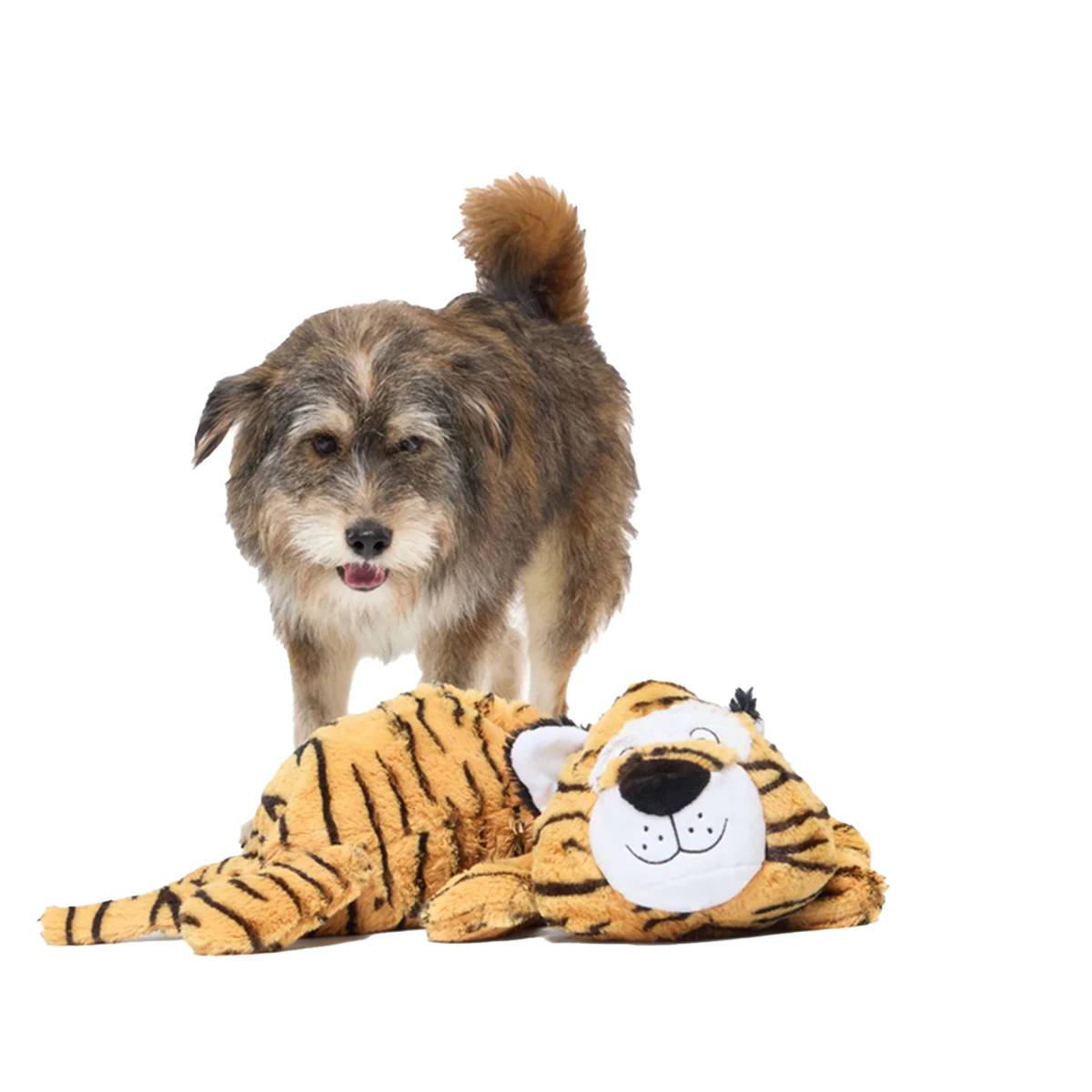 Benji the Bouncing Tiger Plush Extra-Large + Tug Dog Toy