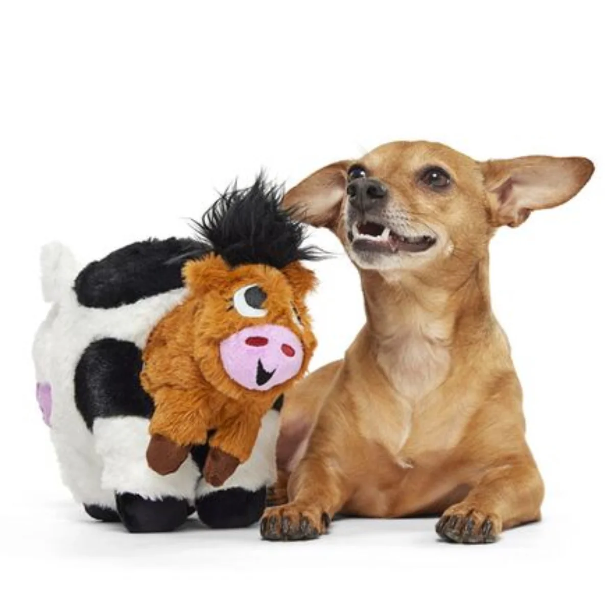 Bertha the Cow Plush Tug + Extra-Large Dog Toy - Image 5