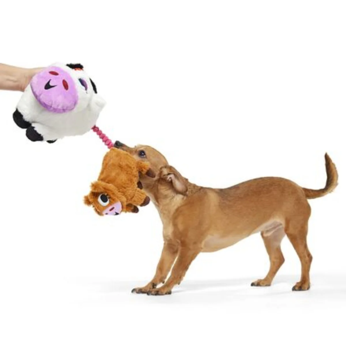 Bertha the Cow Plush Tug + Extra-Large Dog Toy - Image 6