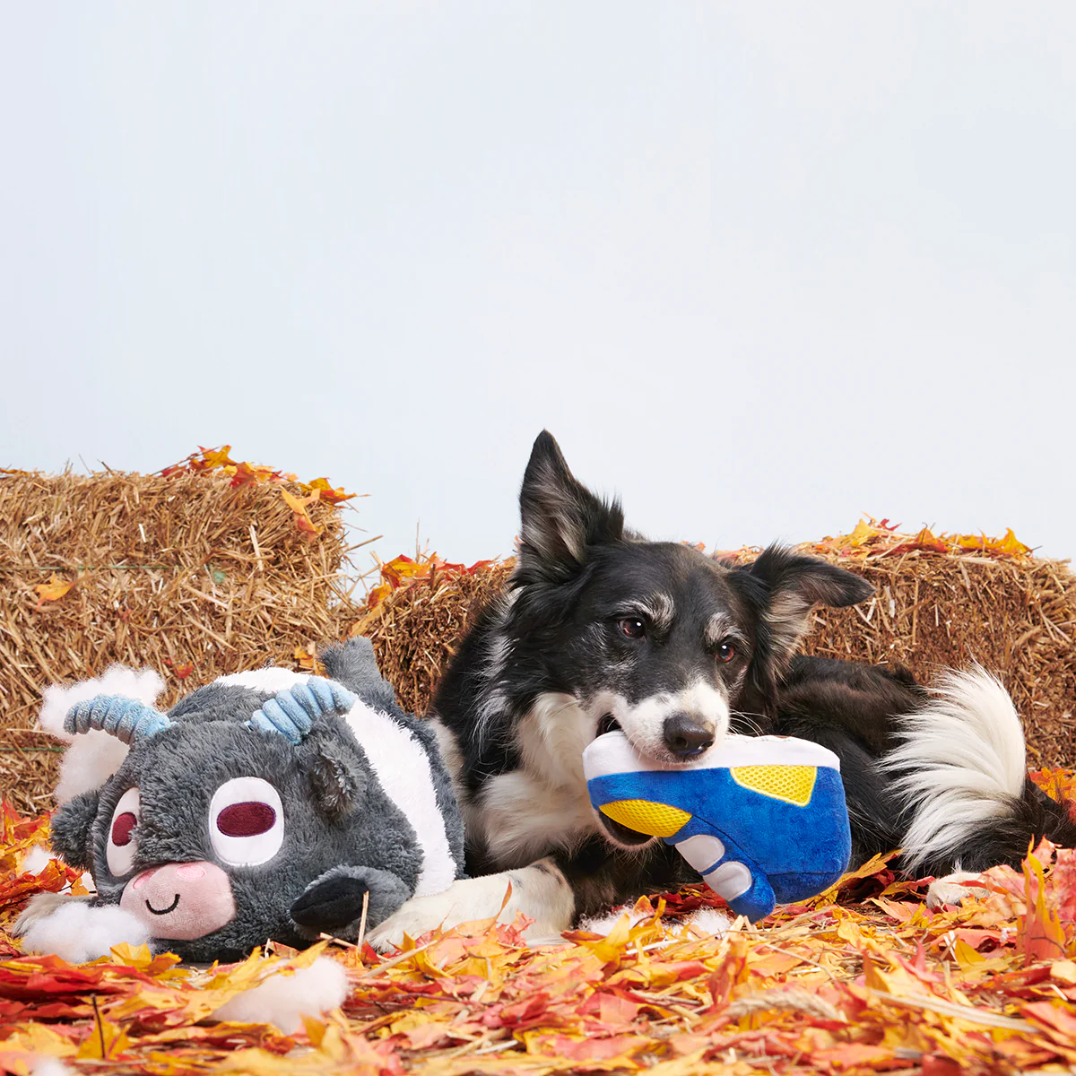 Billy the Kid Plush Extra-Large Dog Toy - Image 5