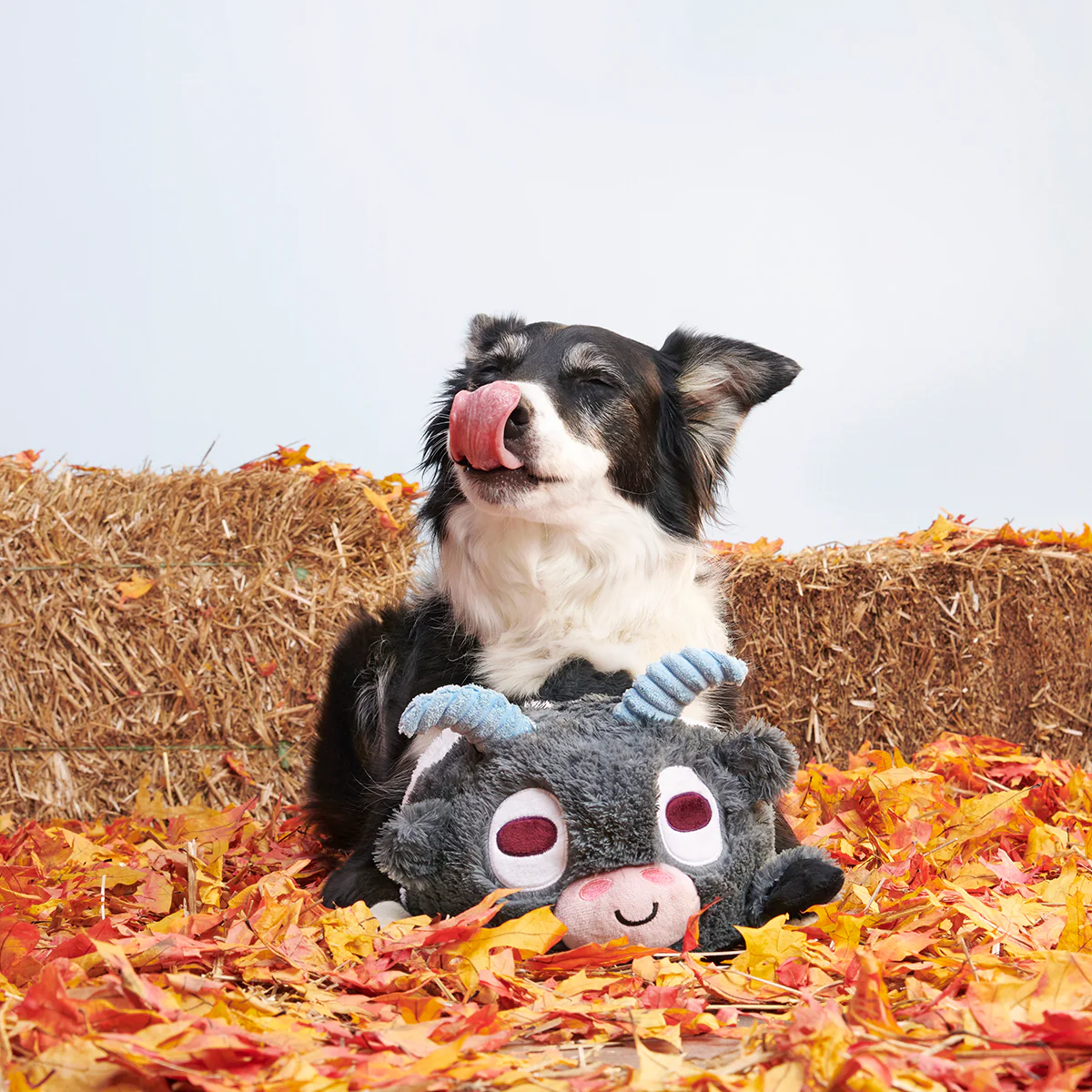 Billy the Kid Plush Extra-Large Dog Toy - Image 6