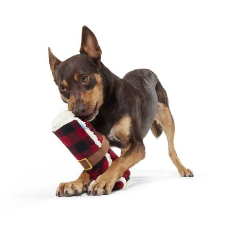 Blanket + Chompfire Bundle Durable Super Chewer Gnaw + Enrichment Dog Toy - Image 5