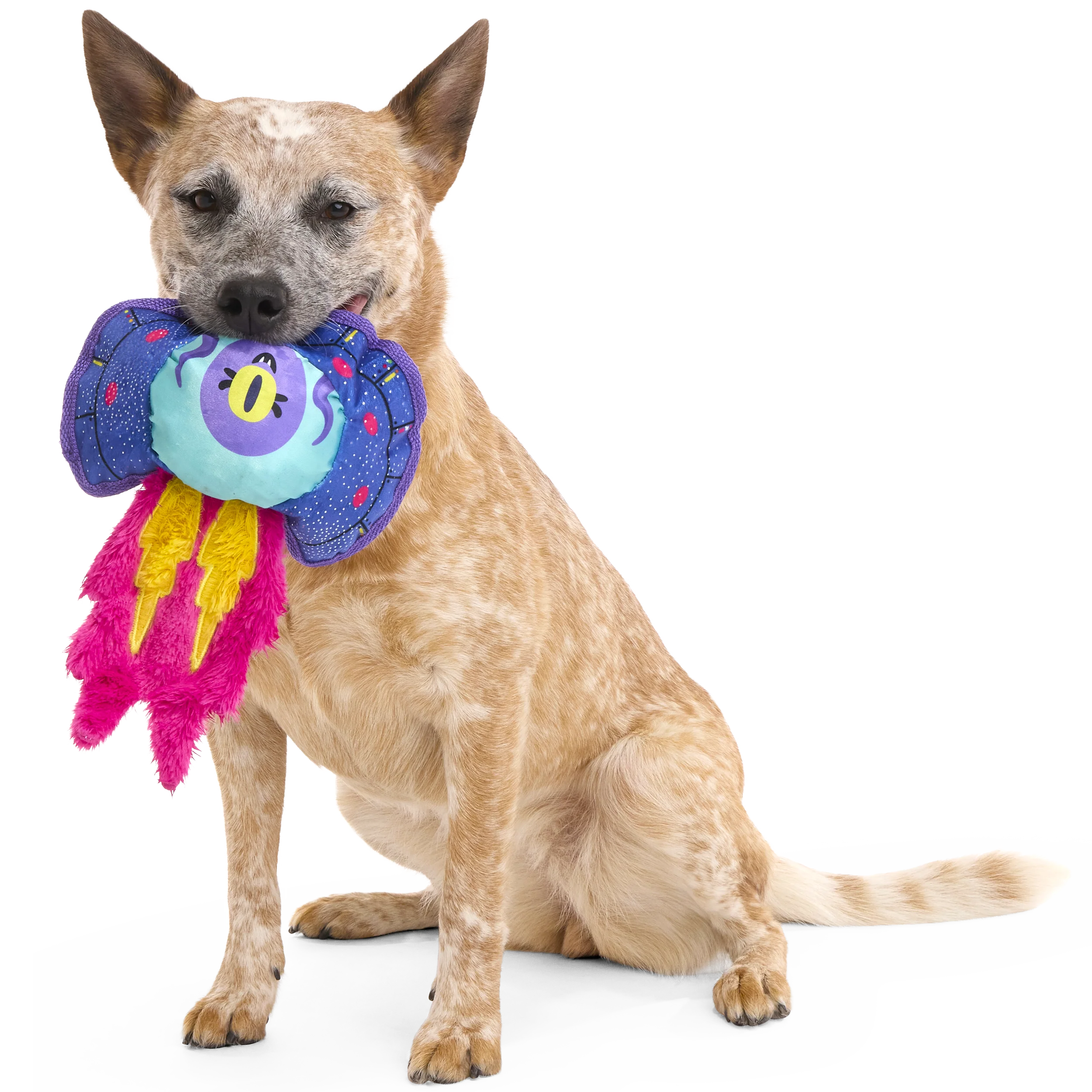 BLAST ARF! Plush Tug Dog Toy