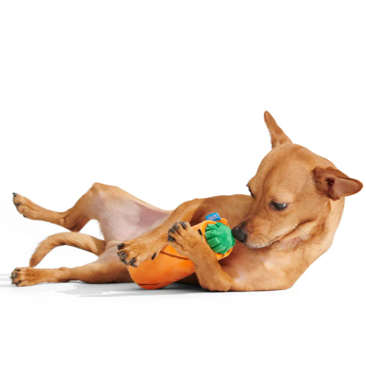 Blunt Hound Plush Enrichment Dog Toy - Image 5