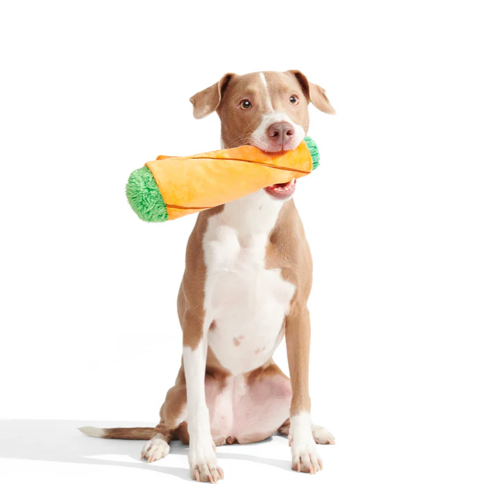 Blunt Hound Plush Enrichment Dog Toy - Image 6