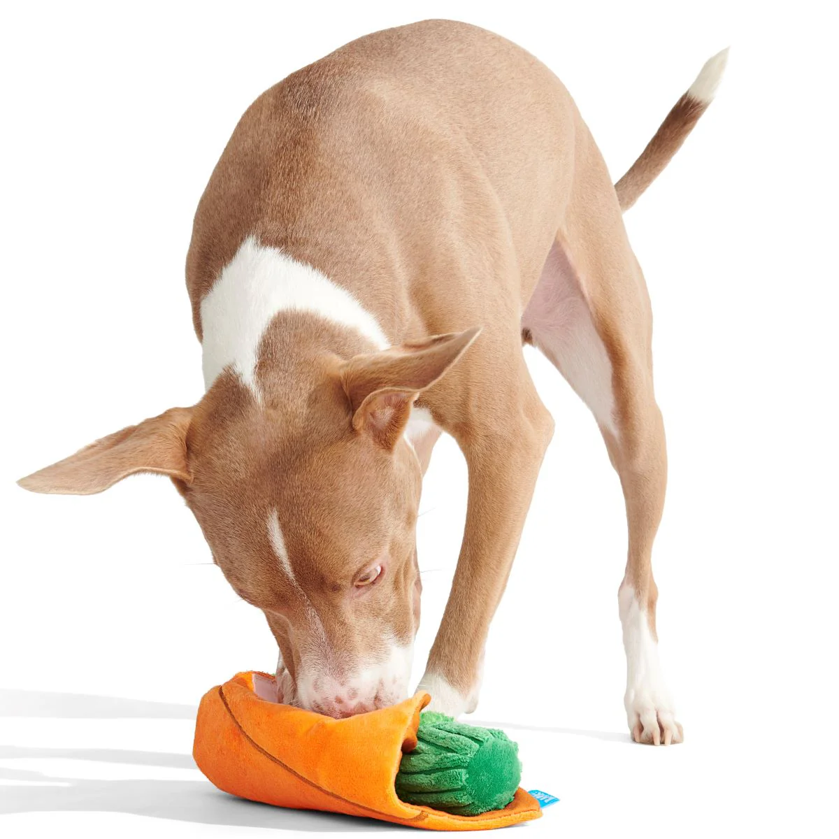 Blunt Hound Plush Enrichment Dog Toy - Image 7