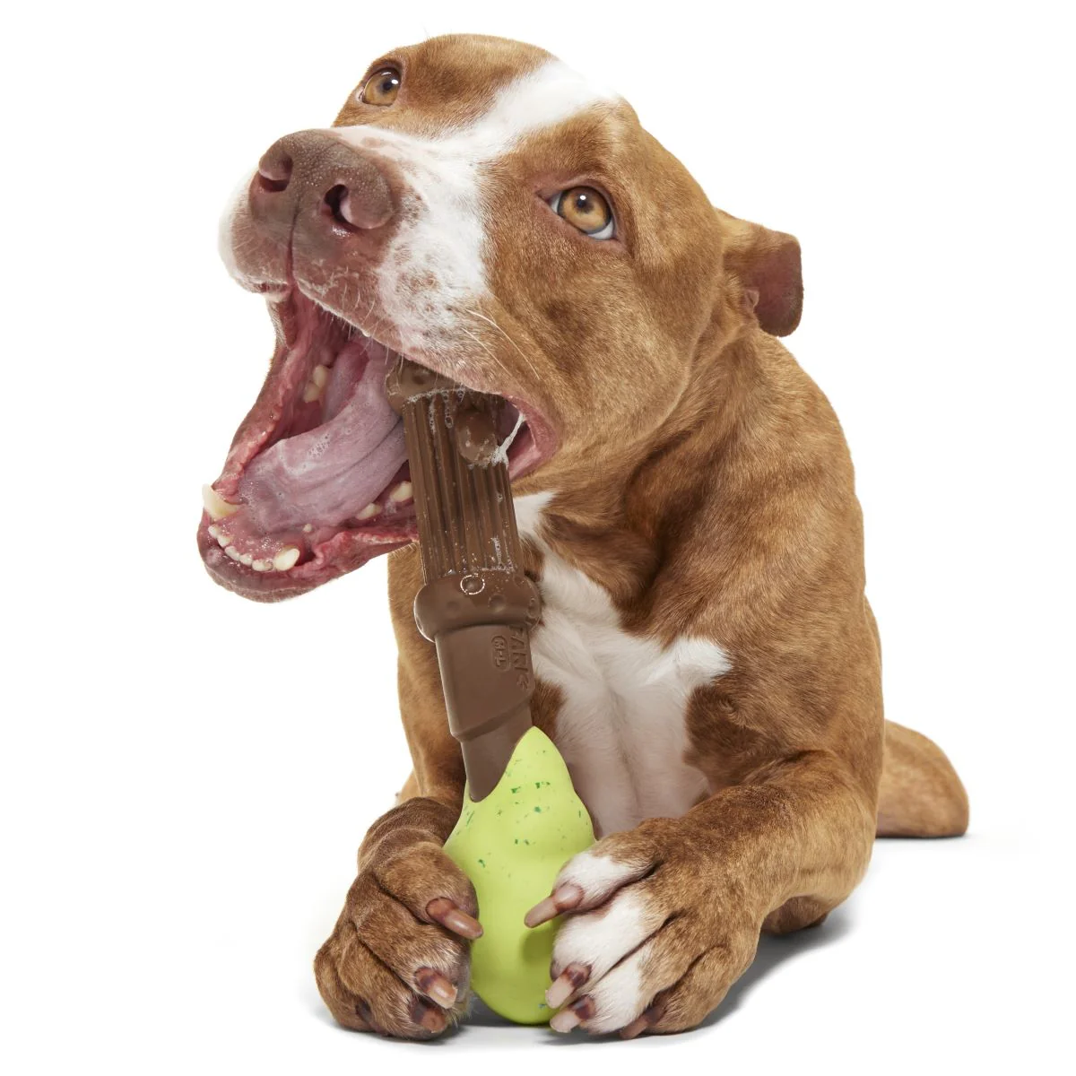 Harry's Bogey™ Wand Durable Super Chewer Fetch Dog Toy - Image 2