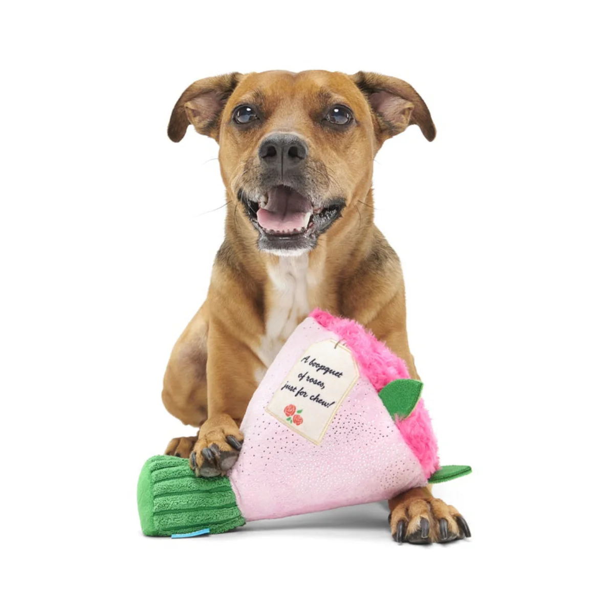 Boopquet of Roses Plush Dog Toy - Image 2