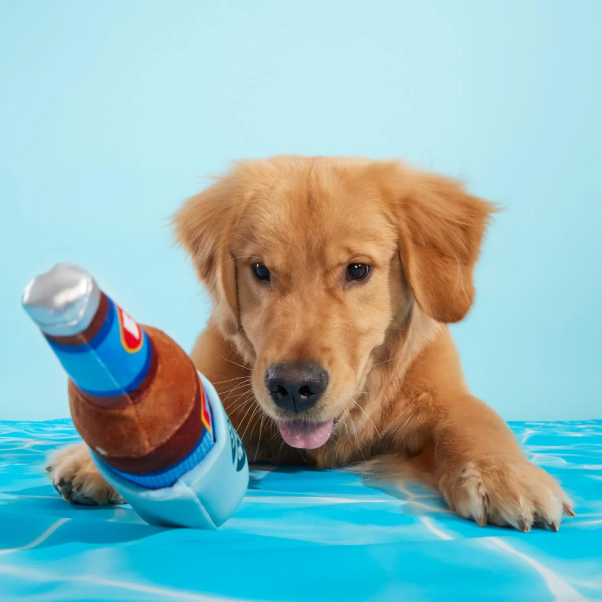 Boozy Doody Koozie Plush Multi-Part Dog Toy - Image 2