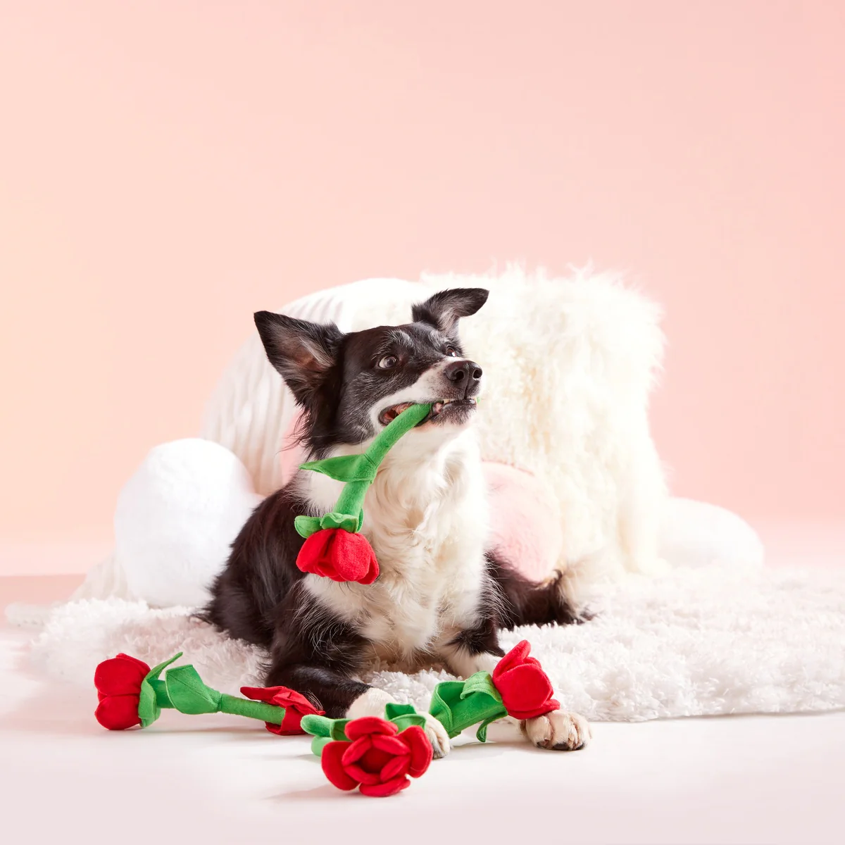 Bouquet of Roses Plush Multi-Part Dog Toy - Image 2