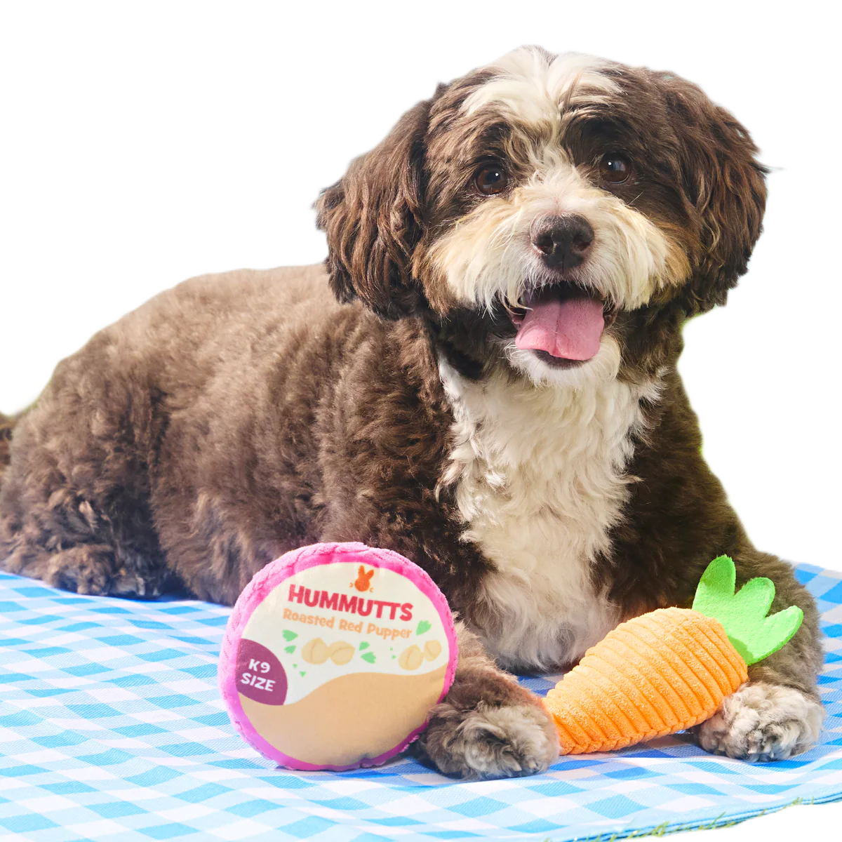 Carrot & Hummutts Plush Multi-Part Dog Toy - Image 2