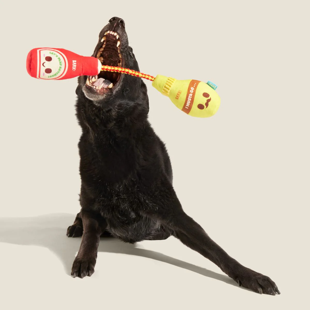 Cat & Mutt Condimutts Plush Tug + Rope Dog Toy - Image 3