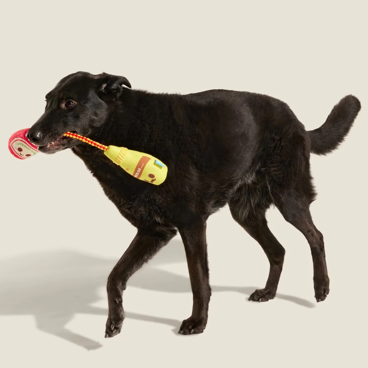Cat & Mutt Condimutts Plush Tug + Rope Dog Toy - Image 4