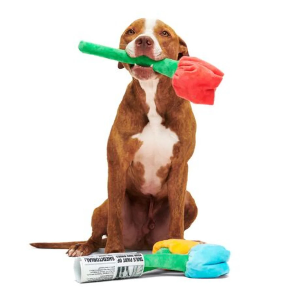 Cheer Up Boopquet Plush Tug + Multi-Part + Enrichment Dog Toy - Image 3