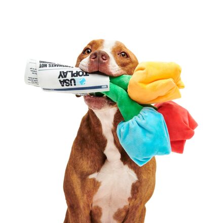 Cheer Up Boopquet Plush Tug + Multi-Part + Enrichment Dog Toy - Image 4