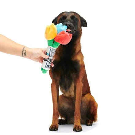 Cheer Up Boopquet Plush Tug + Multi-Part + Enrichment Dog Toy - Image 5