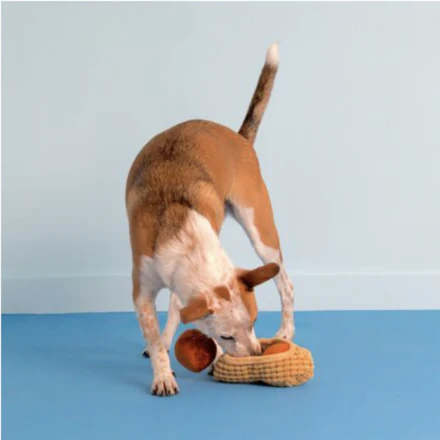 Chester's Nuts - Image 3