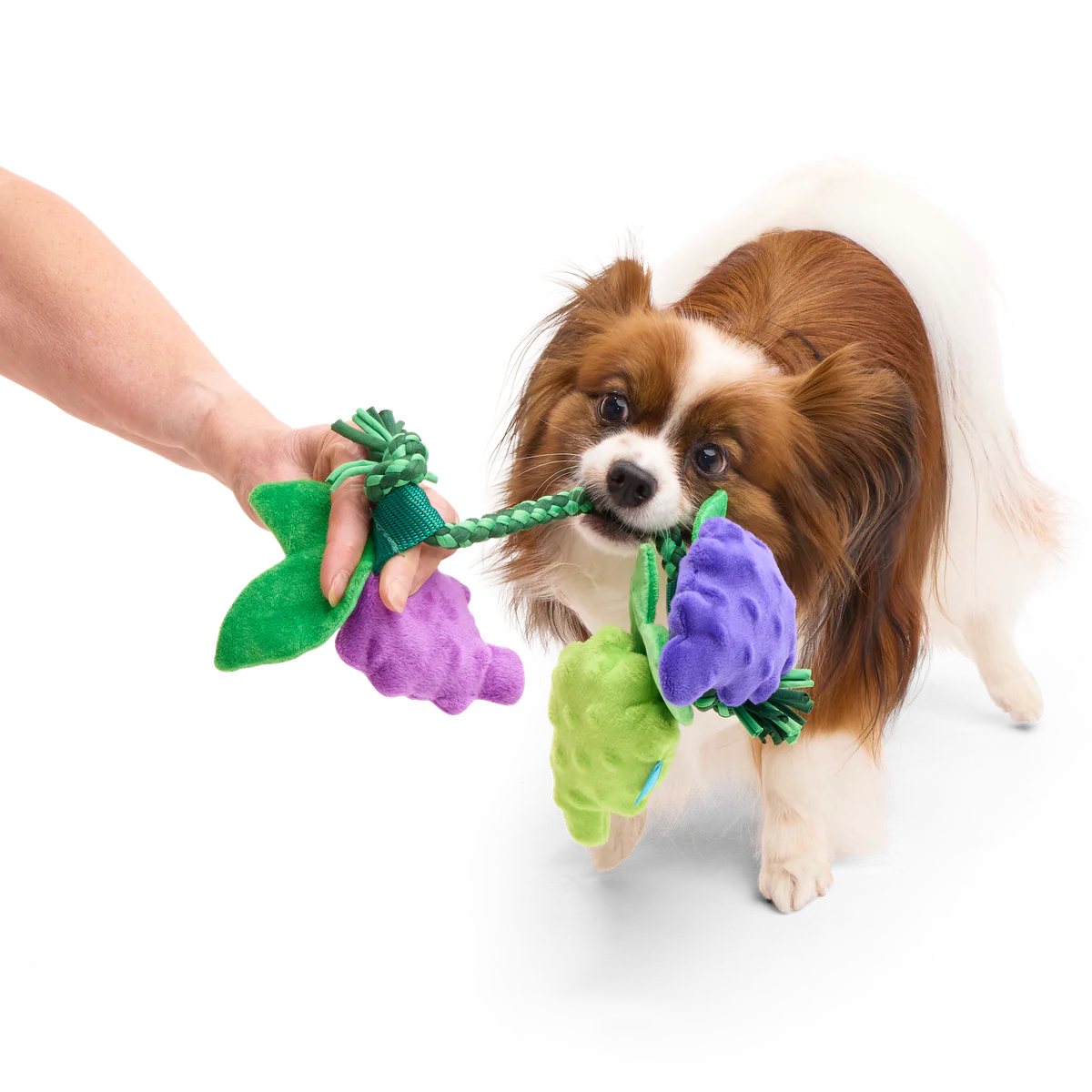 Chew The Grapevine Plush Tug Dog Toy - Image 2